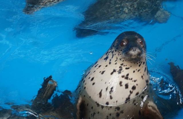 大连三日游超详细攻略(大连超详细全攻略)(5)