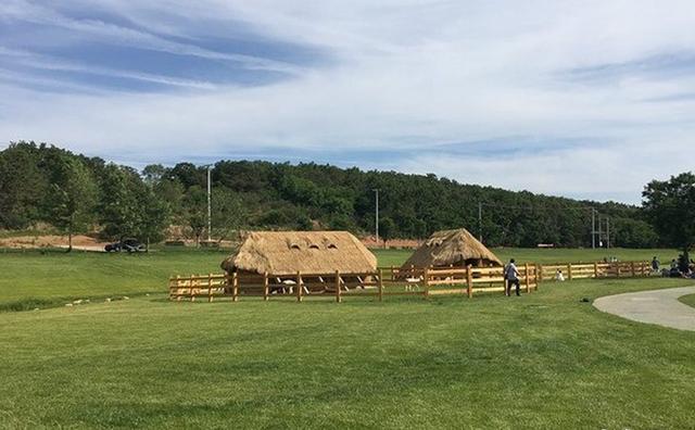 大连三日游超详细攻略(大连超详细全攻略)(13)