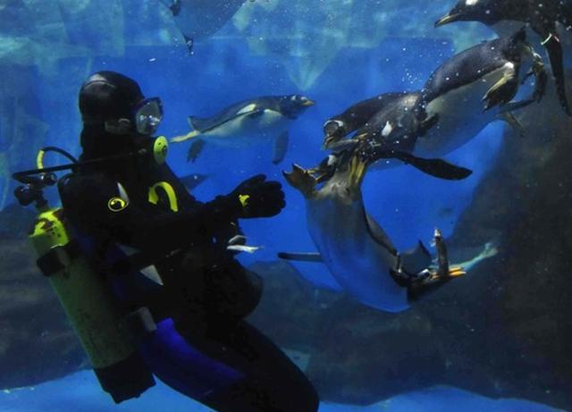 大连三日游超详细攻略(大连超详细全攻略)(2)