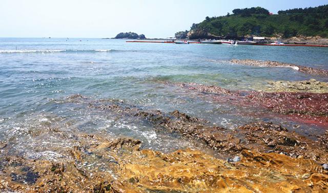 大连三日游超详细攻略(大连超详细全攻略)(11)