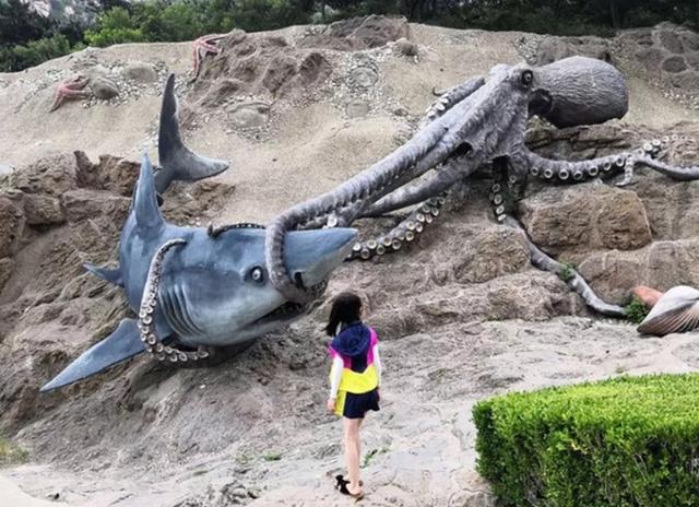 大连三日游超详细攻略(大连超详细全攻略)(29)