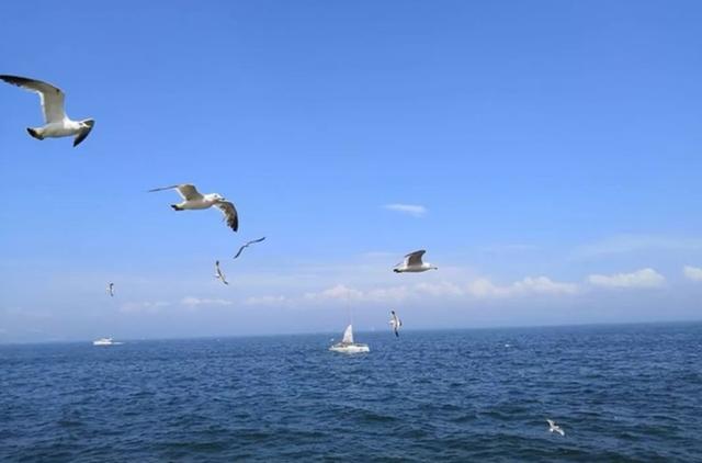 大连三日游超详细攻略(大连超详细全攻略)(30)