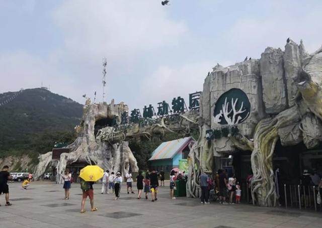 大连三日游超详细攻略(大连超详细全攻略)(6)