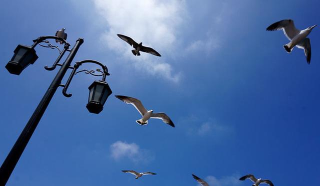 大连三日游超详细攻略(大连超详细全攻略)(62)