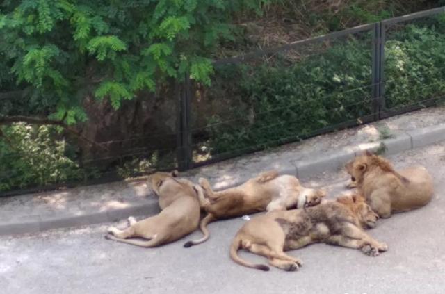 大连三日游超详细攻略(大连超详细全攻略)(7)