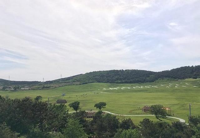 大连三日游超详细攻略(大连超详细全攻略)(12)