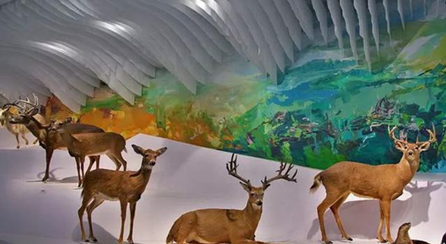 大连三日游超详细攻略(大连超详细全攻略)(49)