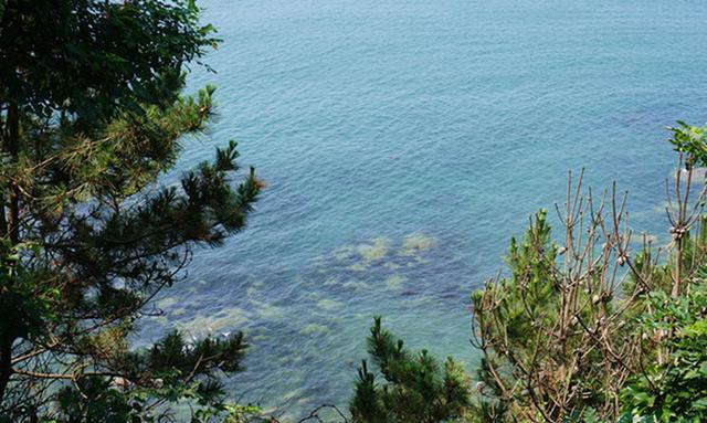 大连三日游超详细攻略(大连超详细全攻略)(10)