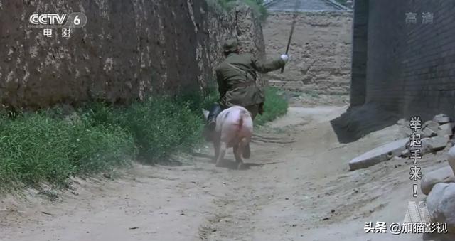 最耐看的十部喜剧电影(笑到控制不住你记几的)(4)