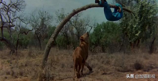 最耐看的十部喜剧电影(笑到控制不住你记几的)(16)