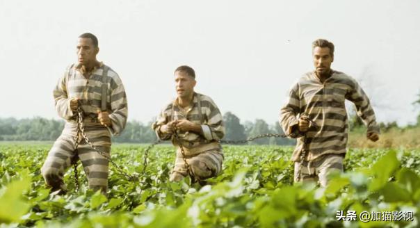 最耐看的十部喜剧电影(笑到控制不住你记几的)(37)