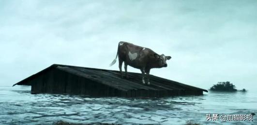 最耐看的十部喜剧电影(笑到控制不住你记几的)(35)