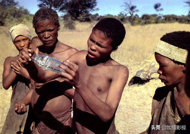 最耐看的十部喜剧电影(笑到控制不住你记几的)(17)