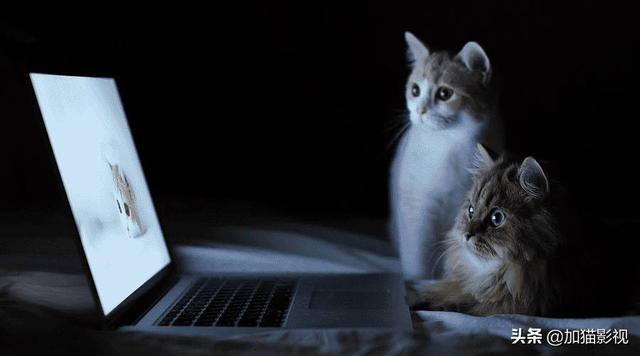 最耐看的十部喜剧电影(笑到控制不住你记几的)(38)