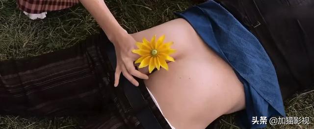 最耐看的十部喜剧电影(笑到控制不住你记几的)(30)