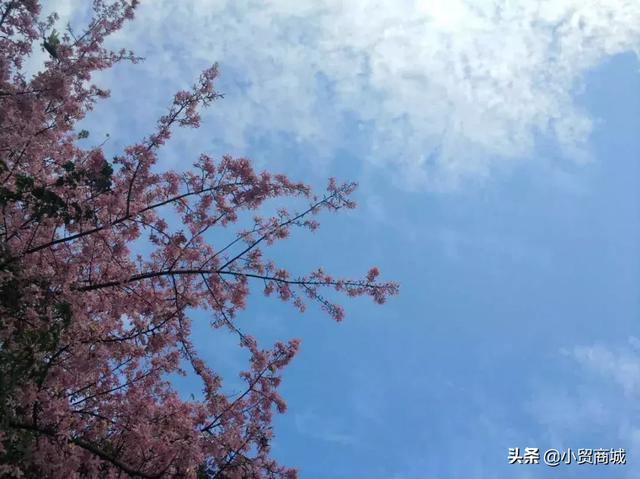 广州龙洞站地铁线路(广州地铁6号线必去的打卡地)(2)