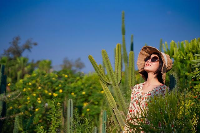 厦门旅游攻略5日自助游攻略(厦门旅游五天自由行攻略)(4)