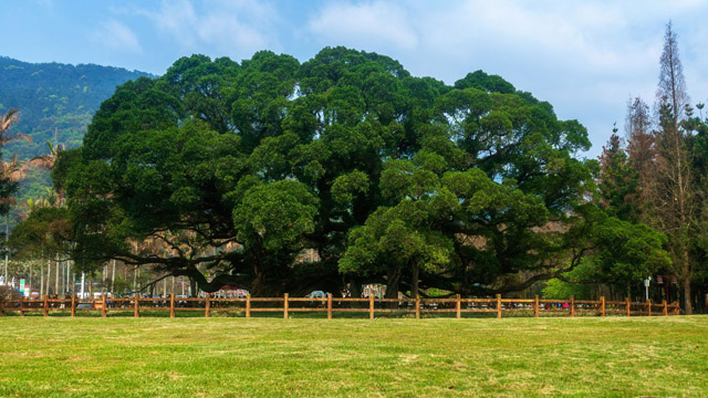 福州旅游攻略 福州十大旅游景点排行榜