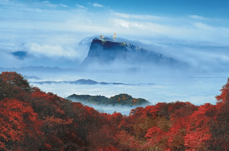 乐山市有多少人口(乐山市各区县人口排名)