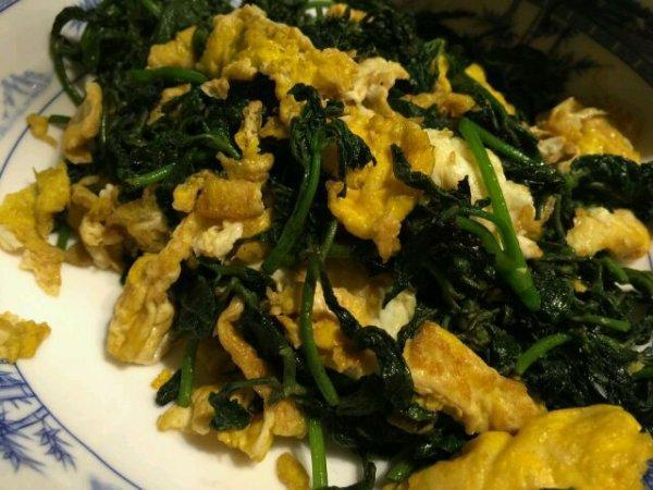 野菜也疯狂，这种嫩芽菜营养价值很高，非常受欢迎！