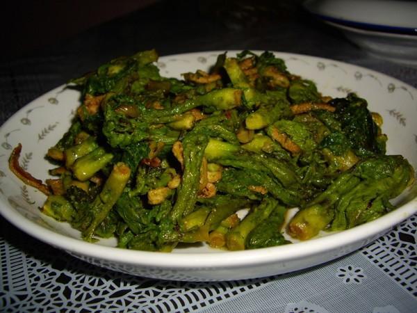 野菜也疯狂，这种嫩芽菜营养价值很高，非常受欢迎！