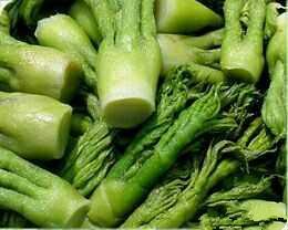 野菜也疯狂，这种嫩芽菜营养价值很高，非常受欢迎！