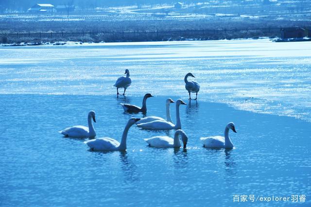 二、天鹅湖景区