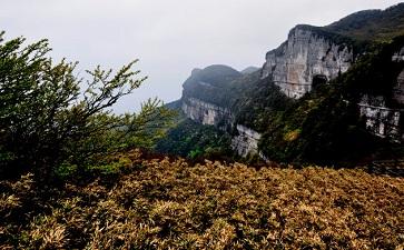 二、南川金佛山—北碚