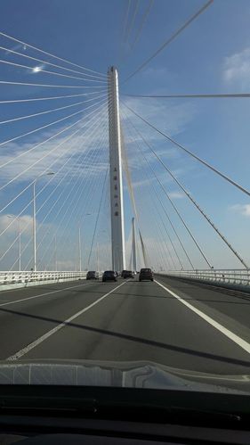 官方崇明长江大桥何时取消收费(上海长江大桥封了)