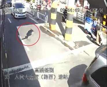 ​工人悬空挂在天桥下，被公交车接住了