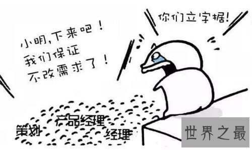 bug什么意思 现如今常用于电脑软件缺陷