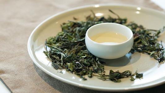 政和白茶产于哪个地方 政和白茶的功效