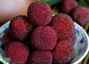 杨梅为什么有虫子？杨梅有虫能吃吗？