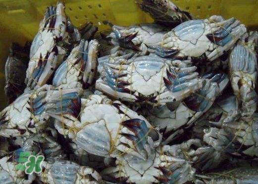 梭子蟹放冷藏能活多久？梭子蟹放冷冻保存多久？