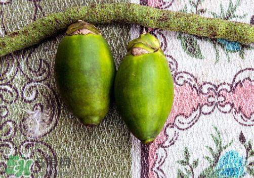 槟榔什么味道？正宗的槟榔是什么味道？