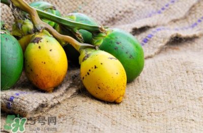 ​槟榔什么味道？正宗的槟榔是什么味道？