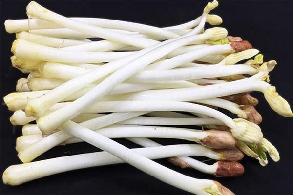 花生芽发绿了还能吃吗 最好是扔掉