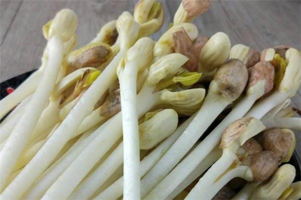 花生芽发绿了还能吃吗 最好是扔掉