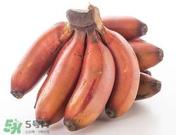 红香蕉多少钱一斤?南洋红香蕉多少钱一斤? 红香蕉多少钱一斤?南洋红香蕉多少钱一斤?