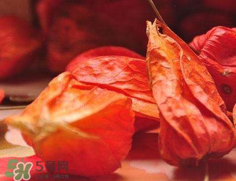 苦姑娘能治糖尿病吗 苦姑娘能治疗咽炎吗