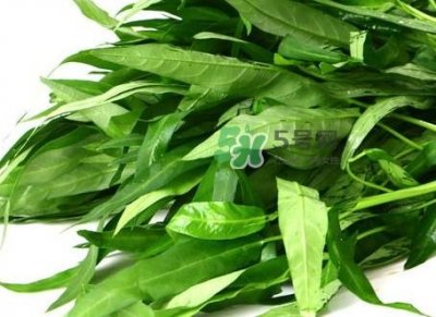 ​通心菜叶子可以吃吗_通心菜叶子怎么吃好