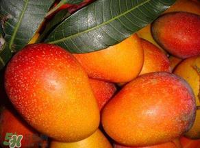 甜瓜和芒果可以一起吃吗？甜瓜和芒果一起吃好吗？