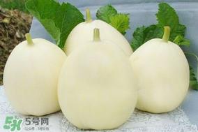 甜瓜和芒果可以一起吃吗？甜瓜和芒果一起吃好吗？