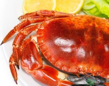 螃蟹可以带上火车吗？螃蟹可以带上动车吗？