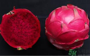 红心火龙果怎么挑选？红心火龙果的挑选方法