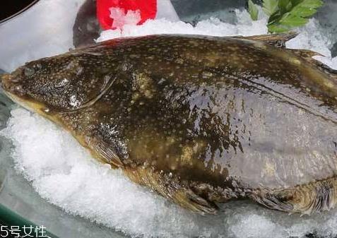 多宝鱼可以冷冻吗 冷冻保存时间更长