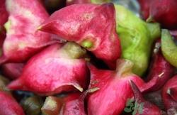 吃菱角会过敏吗?吃菱角过敏怎么办