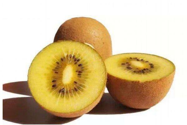 孕妇可以吃黄心猕猴桃吗 什么人不能吃黄心猕猴桃呢 孕妇可以吃黄心猕猴桃吗 什么人不能吃黄心猕猴桃呢