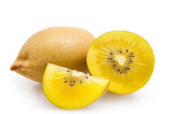 孕妇可以吃黄心猕猴桃吗 什么人不能吃黄心猕猴桃呢 孕妇可以吃黄心猕猴桃吗 什么人不能吃黄心猕猴桃呢