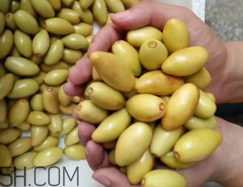 子弹头枣怎么保存 子弹头枣能放冰箱吗